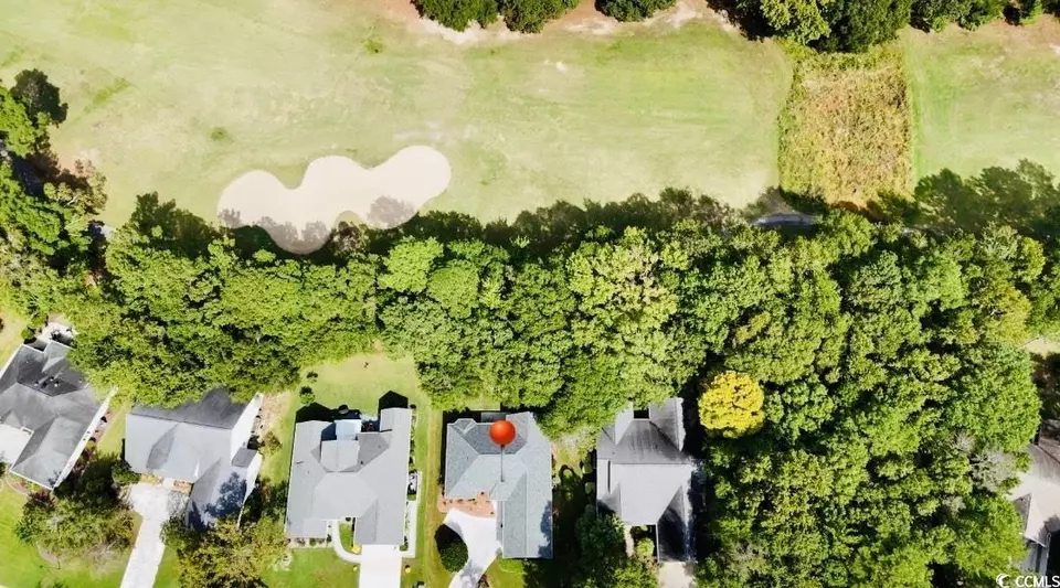 View/Area - 9560 Indigo Creek Blvd, Murrells Inlet, SC 29576 photo 3 of 3