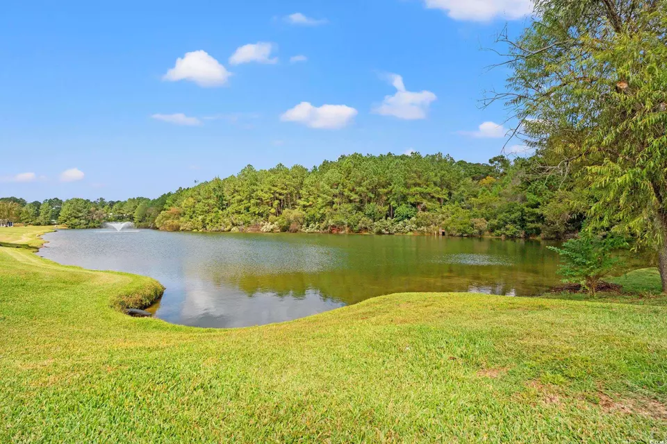  157 Lakeside Crossing Dr, Conway, SC 29526 photo 24