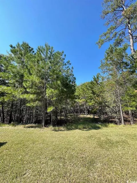 314 Cypress Flat Ct, Conway, SC 29526