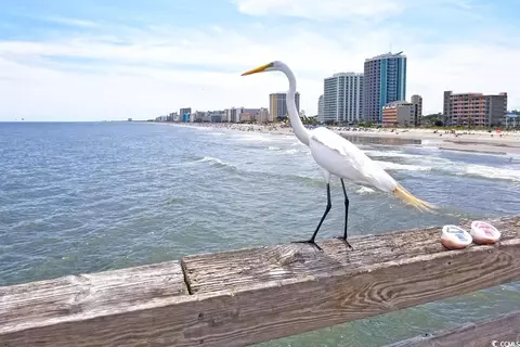 View/Area - 107 S Ocean Blvd #505, Myrtle Beach, SC 29577 photo 10 of 12