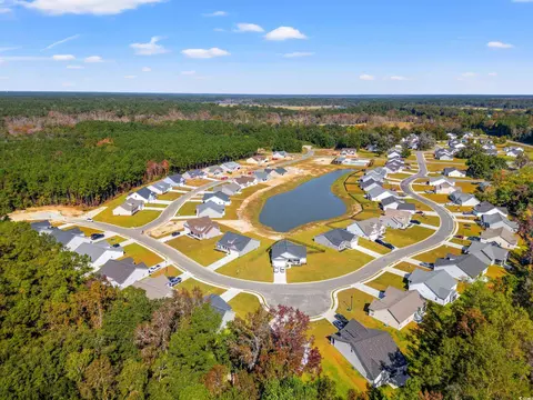 View/Area - 75 Double Pond Dr, Georgetown, SC 29440 photo 1 of 5