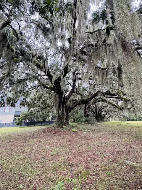 lot50 Oak Bay Dr, Georgetown, SC 29440 photo 25