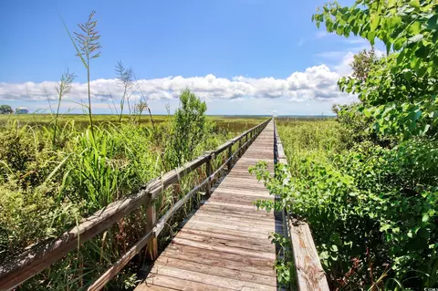 lot50 Oak Bay Dr, Georgetown, SC 29440 photo 10