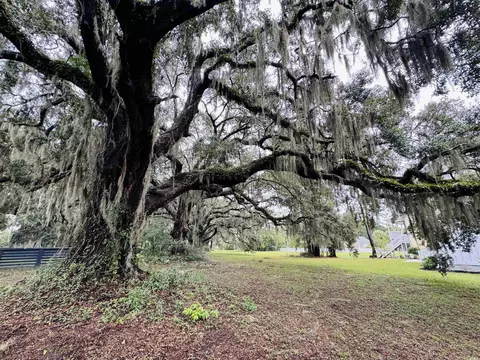 lot50 Oak Bay Dr, Georgetown, SC 29440 photo 6