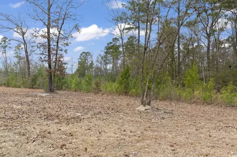 641 Gene Dr, Hemingway, SC 29554 photo 12