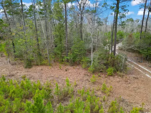 641 Gene Dr, Hemingway, SC 29554 photo 11