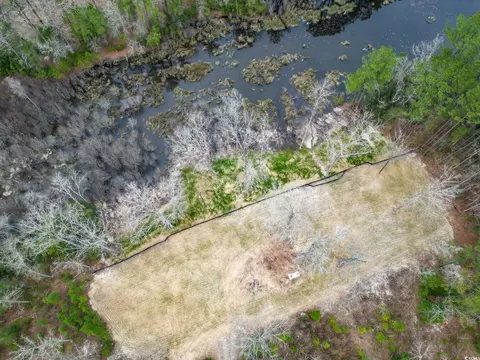 641 Gene Dr, Hemingway, SC 29554 photo 10