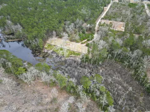 641 Gene Dr, Hemingway, SC 29554 photo 6