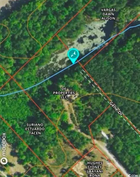 641 Gene Dr, Hemingway, SC 29554 photo 15