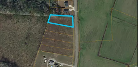 5 Lots Highway 66, Loris, SC 29569 photo 4