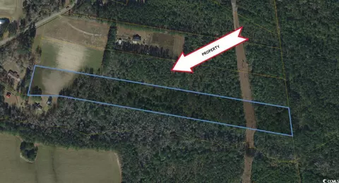 tbd Highway 712, Galivants Ferry, SC 29544