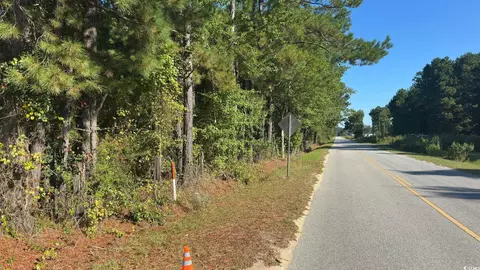 0 Bass Mill Rd, Sellers, SC 29592