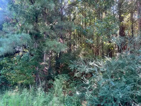tbd Mill Berry Ln, Conway, SC 29526