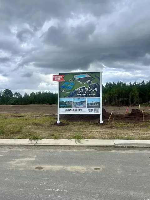 820 Big Cedar Dr, Loris, SC 29569 photo 3