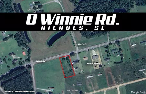 0 Winnie Rd, Nichols, SC 29581