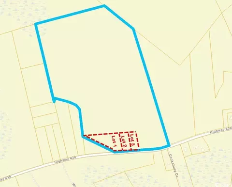 lot1 Highway 430, Nichols, SC 29581