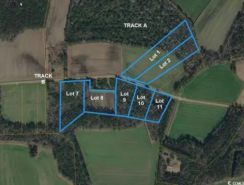 lot10 Oak Grove Church Rd, Nichols, SC 29581