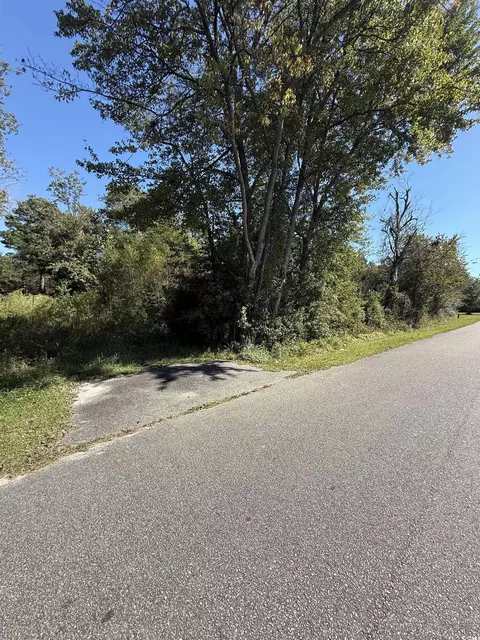 tbd Plum Tree Ln, Conway, SC 29526 photo 3