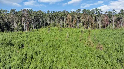 tbd Not Specified, Conway, SC 29526 photo 9
