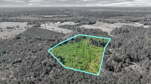 tbd Not Specified, Conway, SC 29526 photo 3