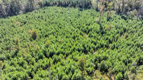 tbd Not Specified, Conway, SC 29526 photo 7