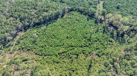 tbd Not Specified, Conway, SC 29526 photo 5