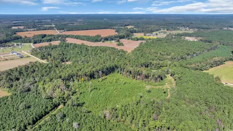 tbd Not Specified, Conway, SC 29526 photo 14