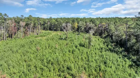 tbd Not Specified, Conway, SC 29526 photo 10