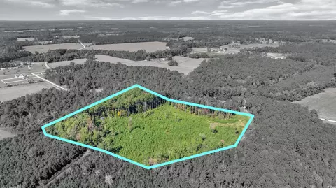 tbd Not Specified, Conway, SC 29526 photo 4
