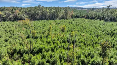 tbd Not Specified, Conway, SC 29526 photo 8