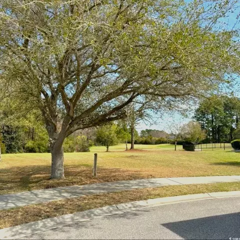 1005 Whooping Crane Dr, Conway, SC 29526