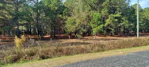 3025 3029 Fowler Rd, Loris, SC 29569 photo 4
