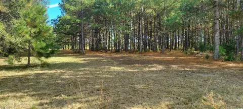 3025 3029 Fowler Rd, Loris, SC 29569 photo 3