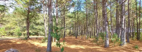 3025 3029 Fowler Rd, Loris, SC 29569 photo 5