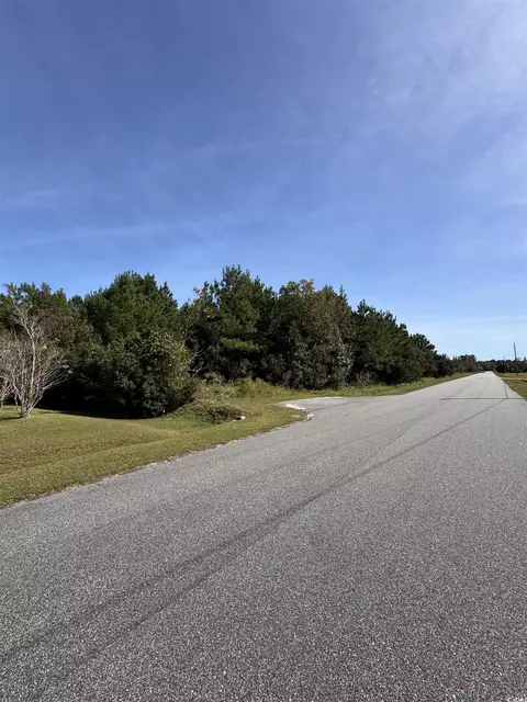 tbd Simpson Creek Dr, Loris, SC 29569 photo 3