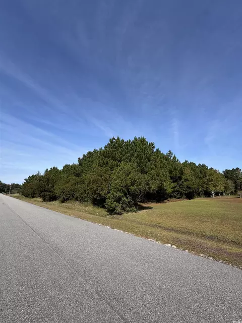 tbd Simpson Creek Dr, Loris, SC 29569 photo 7