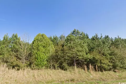 tbd Simpson Creek Dr, Loris, SC 29569 photo 2