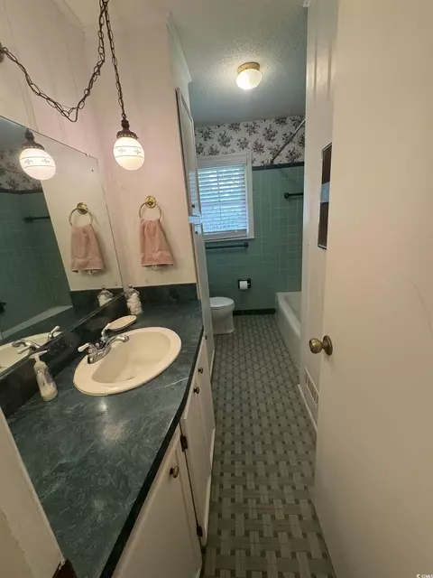 Bath - 314 Pine St, Latta, SC 29565 photo 4 of 5