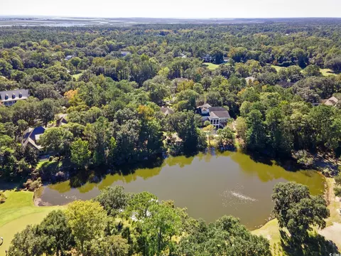 14 Cotillion Ct, Georgetown, SC 29440 photo 33