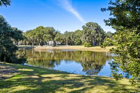 14 Cotillion Ct, Georgetown, SC 29440 photo 27