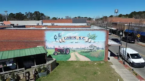 873 Farmers Passage Loop, Loris, SC 29569 photo 26