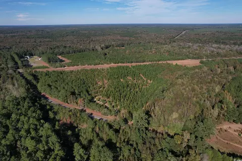 tbd Sand Plant Rd, Nichols, SC 29581