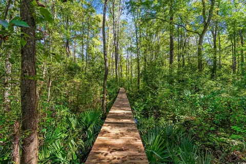 3293 Center Rd, Georgetown, SC 29440 photo 4