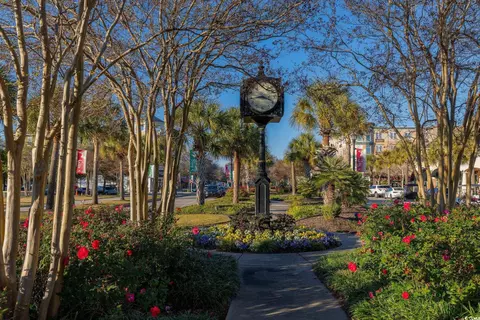 Other - 2595 Orion Loop, Myrtle Beach, SC 29577 photo 10 of 12