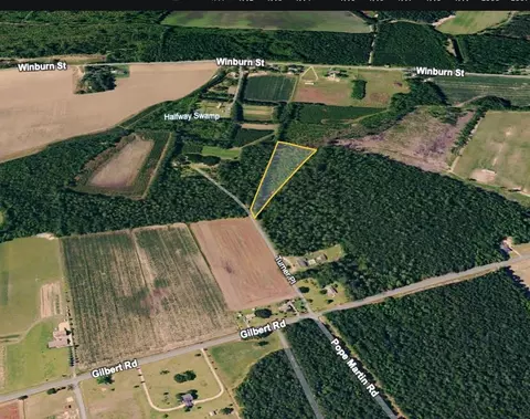 tbd Turner Pl, Conway, SC 29526 photo 3