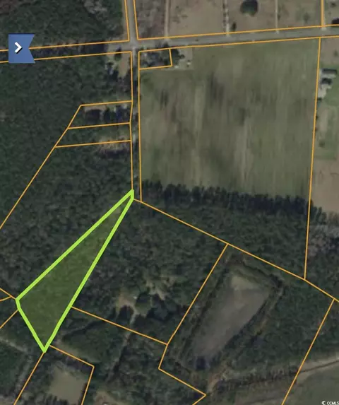 tbd Turner Pl, Conway, SC 29526