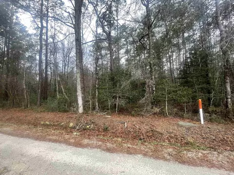 tbd Turner Pl, Conway, SC 29526 photo 4