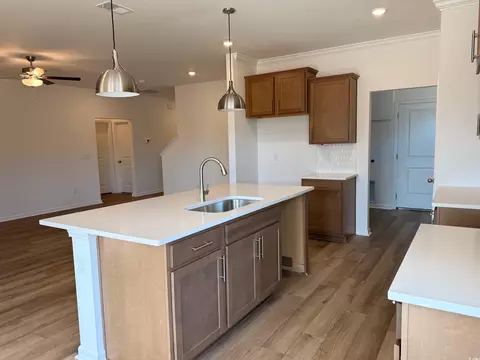 Kitchen - 118 Cascade Dr, Conway, SC 29527 photo 2 of 4