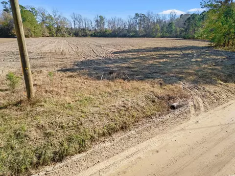 tbd Watts Rd, Loris, SC 29569