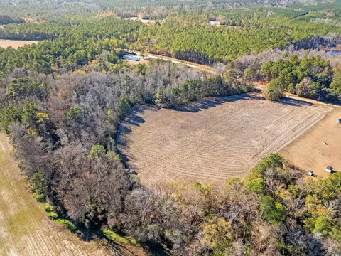 tbd Watts Rd, Loris, SC 29569 photo 3